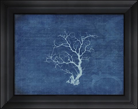 Framed Gypsy Blue Cyanotype V2 Print