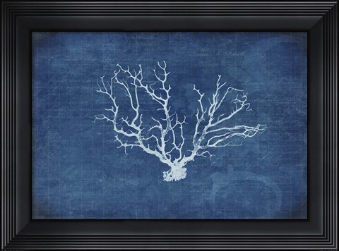 Framed Gypsy Blue Cyanotype V3 Print