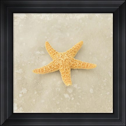 Framed Gypsy Sea Brown 4 Print