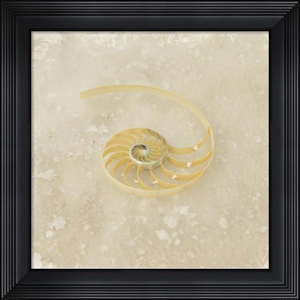 Framed Gypsy Sea Brown 5 Print