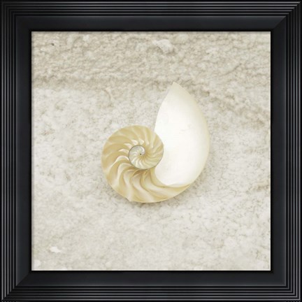 Framed Gypsy Sea Life 1 Print