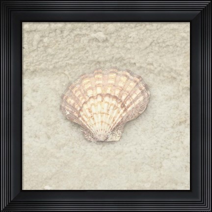 Framed Gypsy Sea Life 4 Print