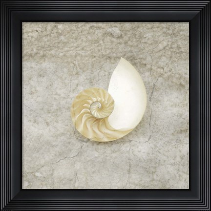 Framed Gypsy Sea Life V1 Print