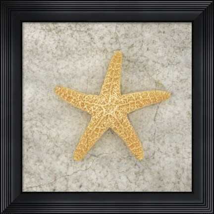 Framed Gypsy Sea Life V2 Print