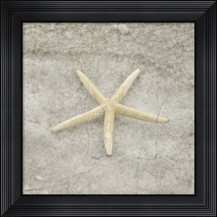 Framed Gypsy Sea Life V4 Print