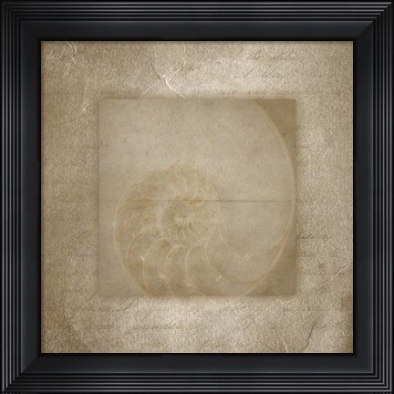 Framed Sea Life 2 Print
