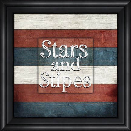 Framed American Freedom Collection 7 Print