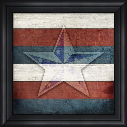 Framed American Freedom Collection V4 Print