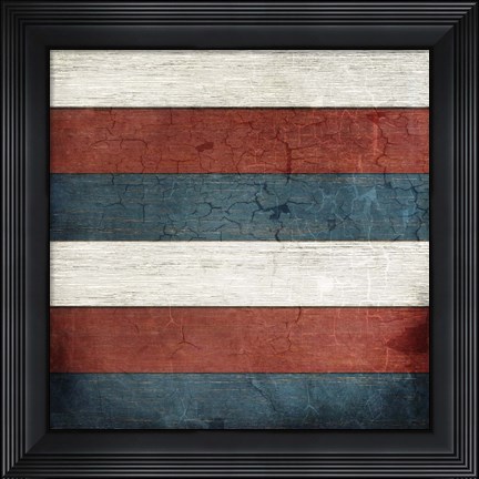 Framed American Freedom Collection V7 Print