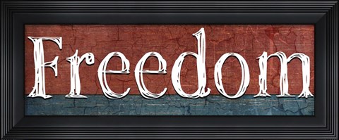 Framed American Freedom Collection V11 Print