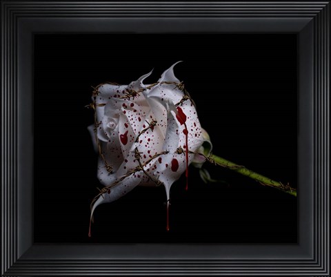 Framed Bleeding Rose Print