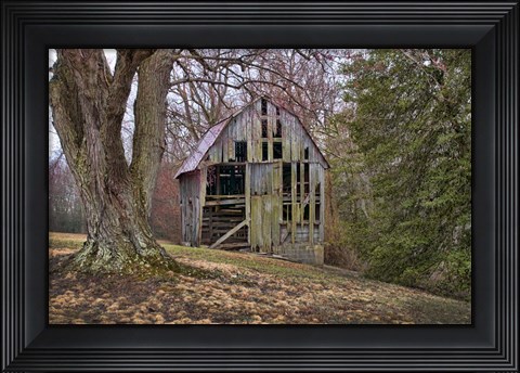 Framed Barn Shell Print