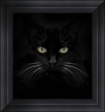 Framed Black Cat Print