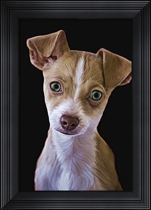 Framed Chihuahua Print