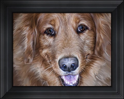 Framed Golden Retriever Print