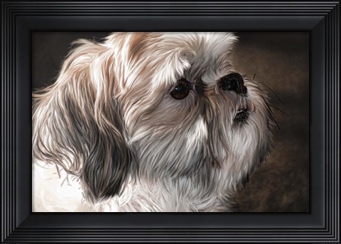 Framed Llahso Apso Print
