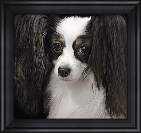 Framed Papillion Print