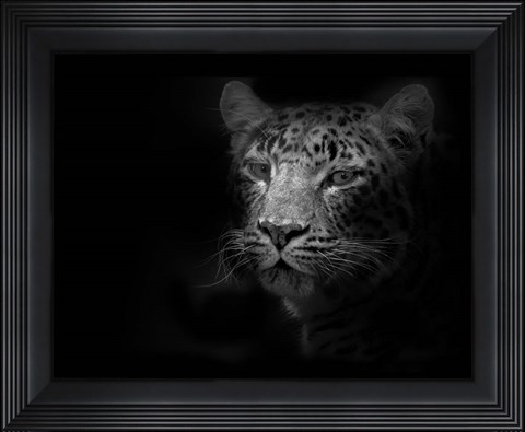 Framed Leopard Print