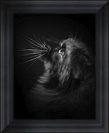 Framed Willow Print