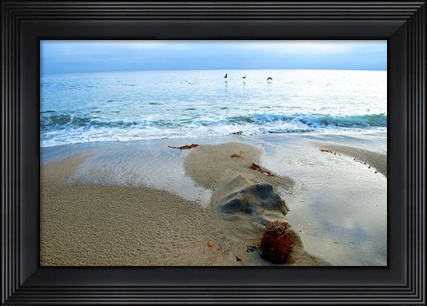 Framed Zuma Beach, Ca Print