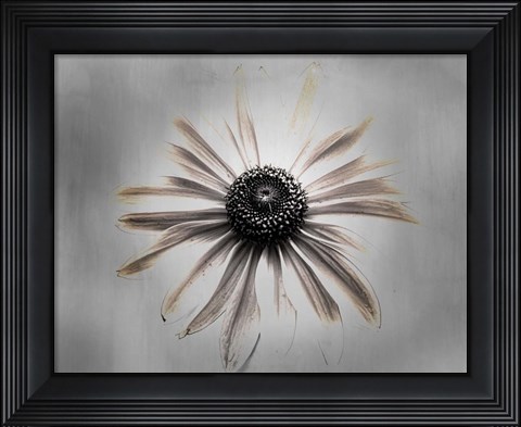 Framed Sun 1 Copy Print