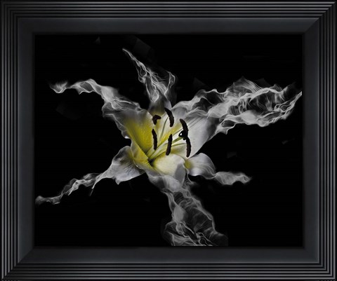 Framed Yellow Lily Print