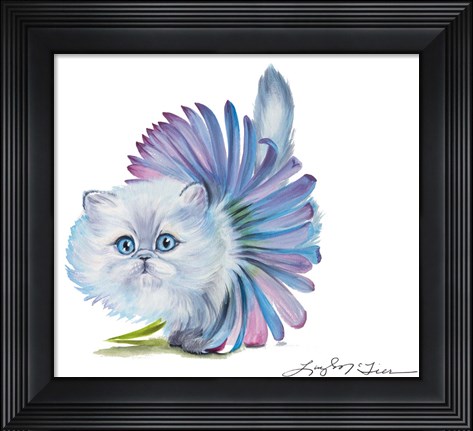 Framed Kitten Ballerina Daisy Flower Stare Persian Cat Print