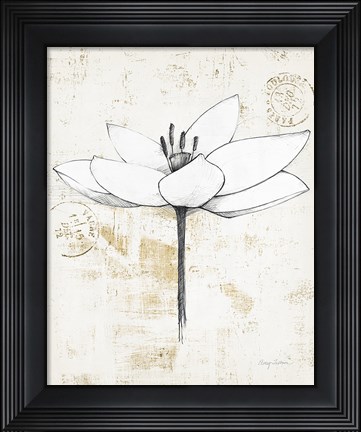 Framed Pencil Floral I Gold Print