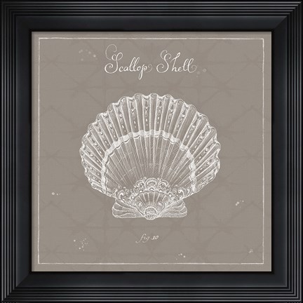 Framed Underwater Life XV Greige Print