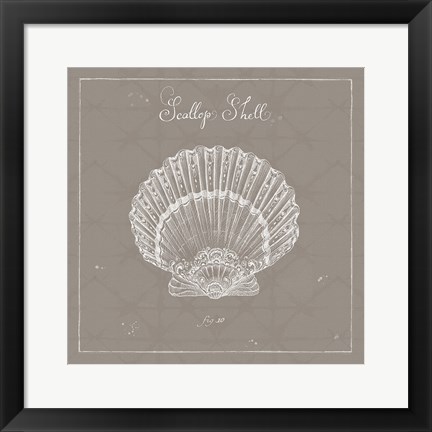 Framed Underwater Life XV Greige Print