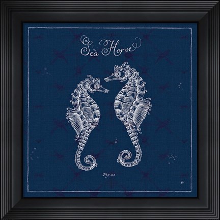 Framed Underwater Life XIII Print