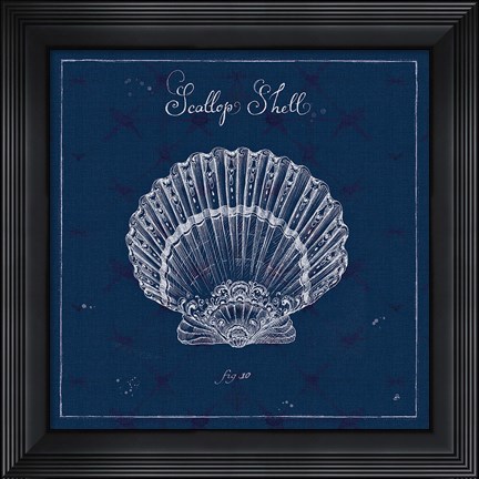 Framed Underwater Life XV Print
