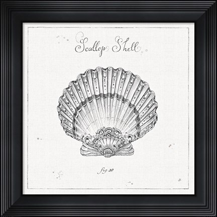 Framed Underwater Life VII Print