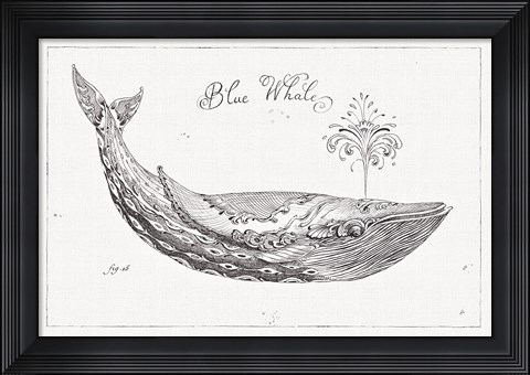 Framed Underwater Life I Print