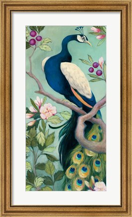 Framed Pretty Peacock I Print
