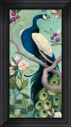 Framed Pretty Peacock I Print
