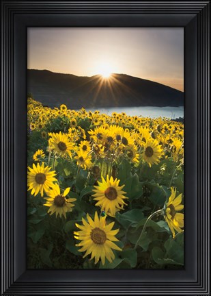 Framed Columbia River Gorge Sunrise Print