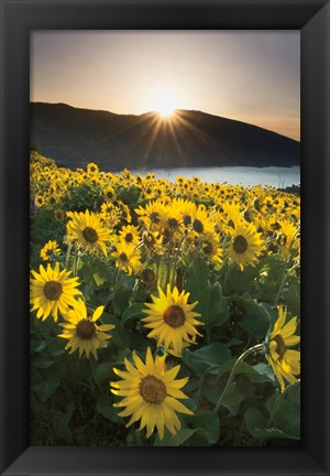 Framed Columbia River Gorge Sunrise Print