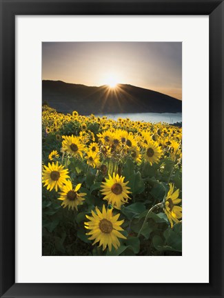 Framed Columbia River Gorge Sunrise Print