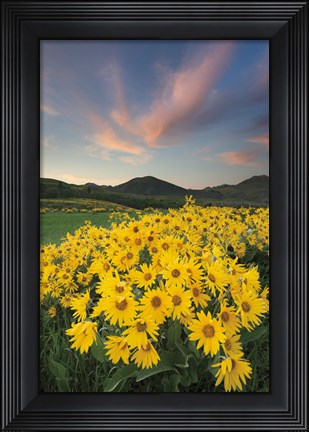 Framed Methow Valley Wildflowers I Print