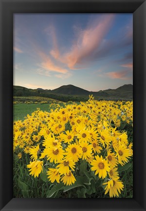 Framed Methow Valley Wildflowers I Print