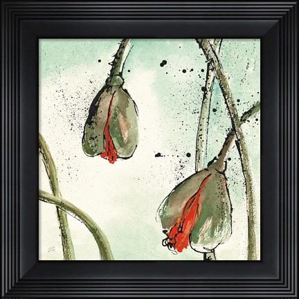 Framed Not a California Poppy II Print