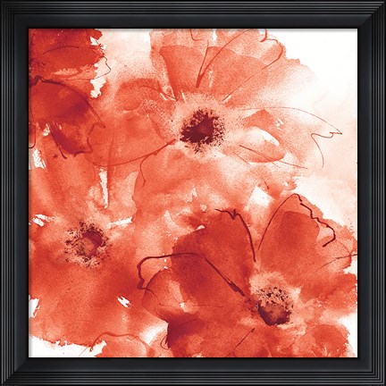 Framed Seashell Cosmos II Red and Orange Print