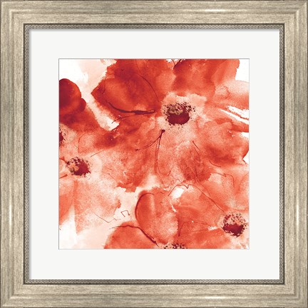 Framed Seashell Cosmos I Red and Orange Print