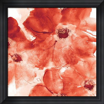 Framed Seashell Cosmos I Red and Orange Print