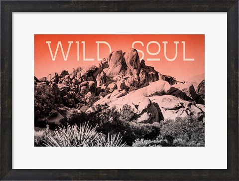 Framed Ombre Adventure II Wild Soul Print