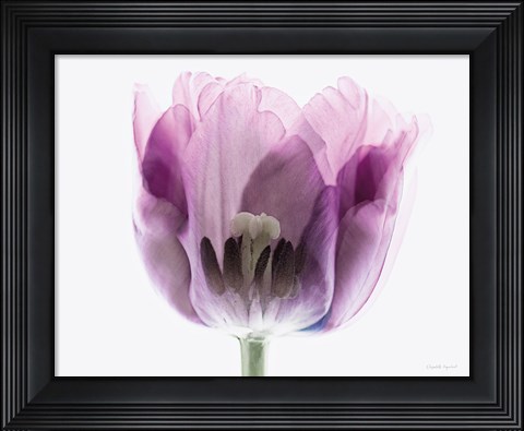Framed Inside Out II Print