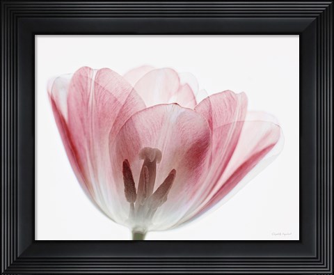 Framed Inside Out III Print