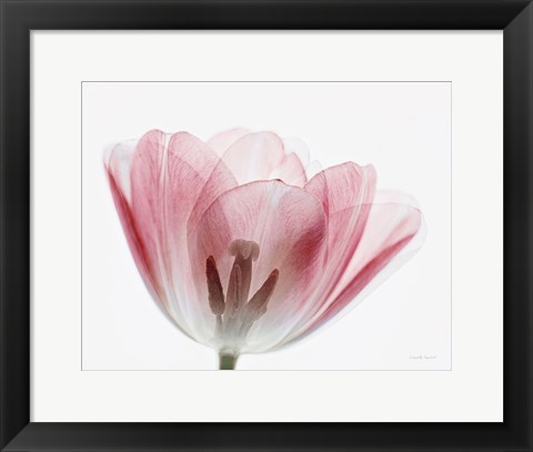 Framed Inside Out III Print