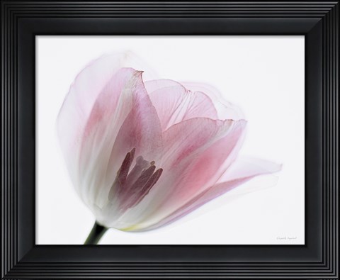 Framed Inside Out IV Print